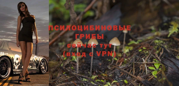 мескалин Балахна