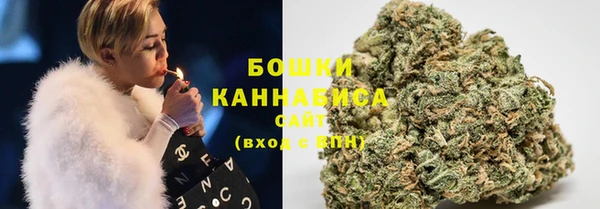 ГАЛЛЮЦИНОГЕННЫЕ ГРИБЫ Сосновка